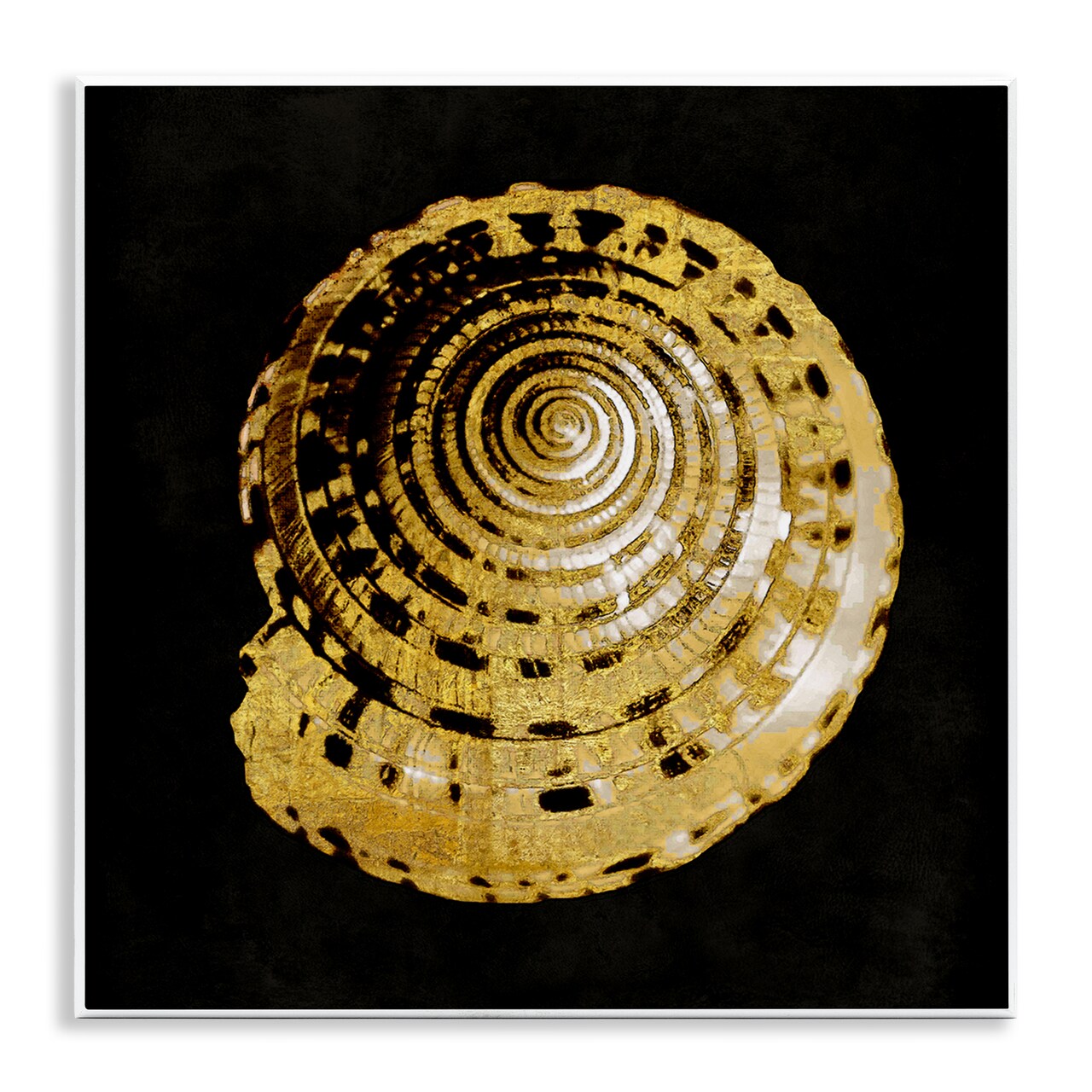 Stupell Industries Gold Spiral Shell Wall Plaque Art Design by Caroline Kelly